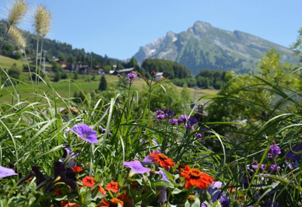 Location d'appartements - La Résidence La Clusaz Exterior foto