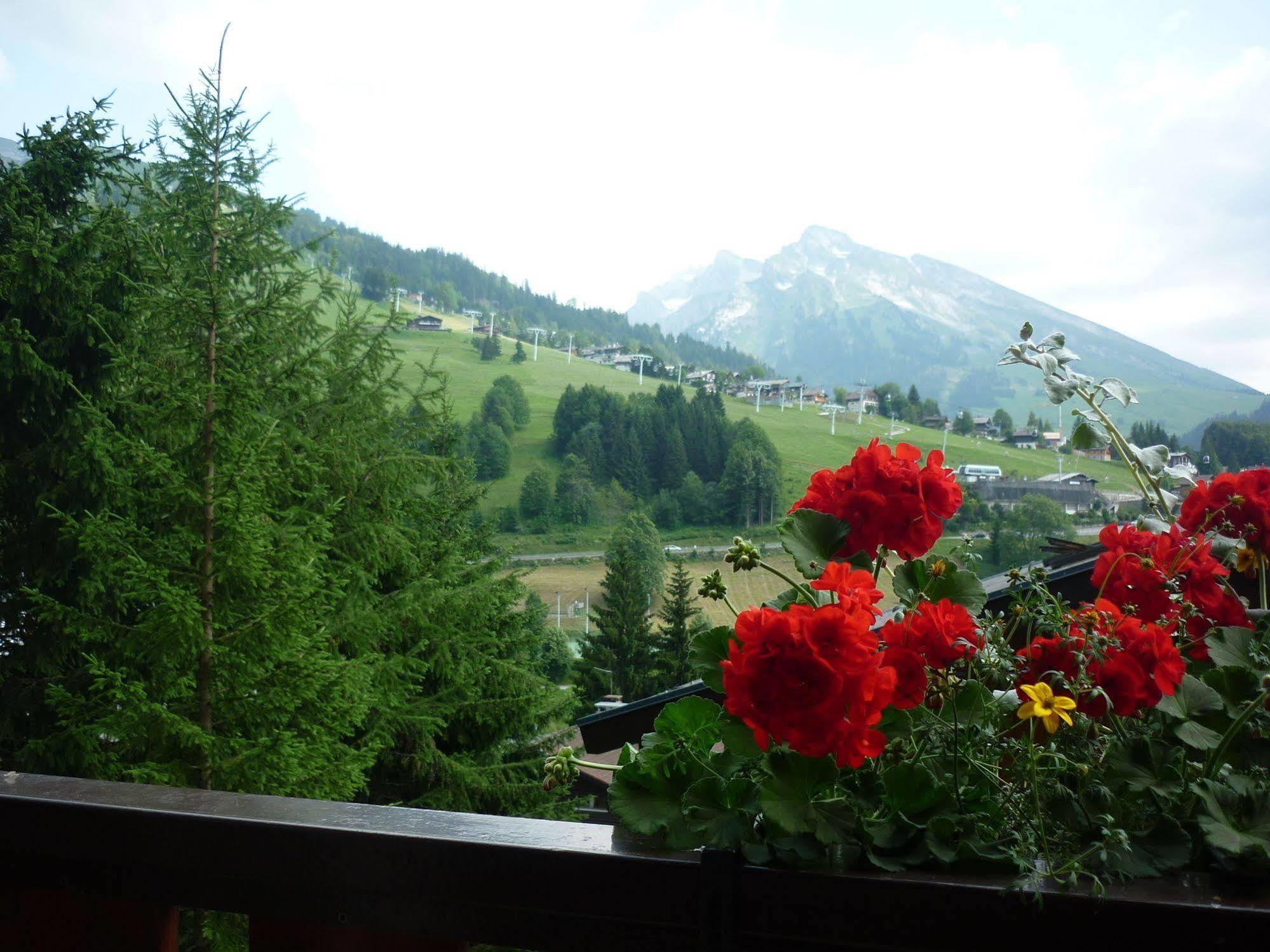 Location d'appartements - La Résidence La Clusaz Exterior foto